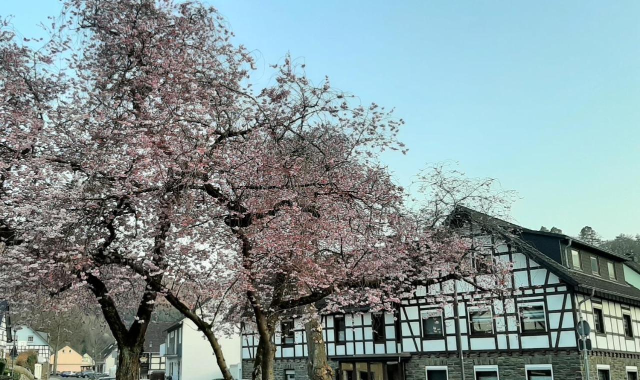 Vivanatura Eifelferienstudio